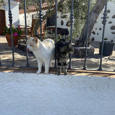 La Casa Vieja De La Montana Holiday home *